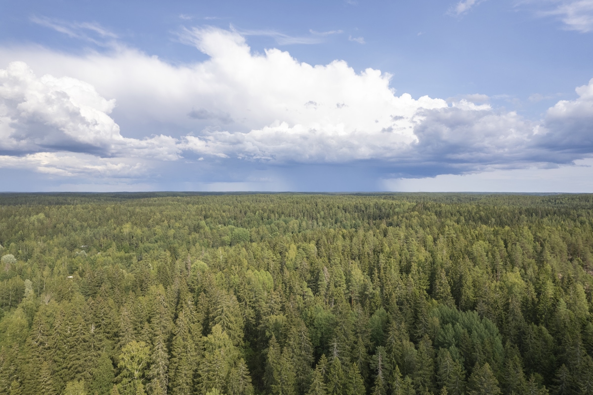 Séjour multi-activités à Savukoski au départ de Ivalo - Choix Flex - 8