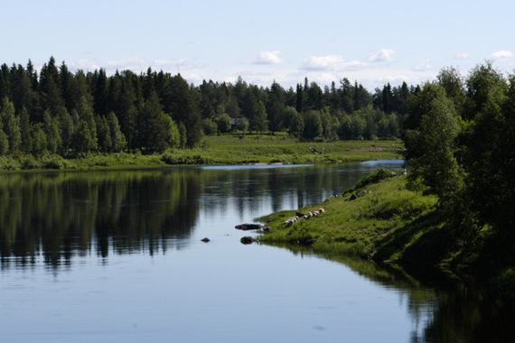 Séjour multi-activités à Savukoski au départ de Kuussamo - Choix Flex- TUI
