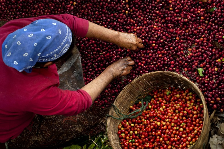 Grains de café