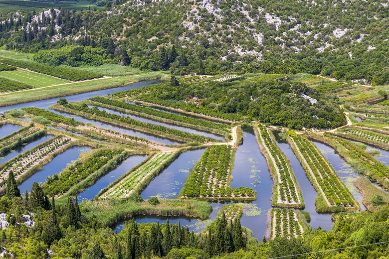 Terres agricoles dans le delta de la Neretva