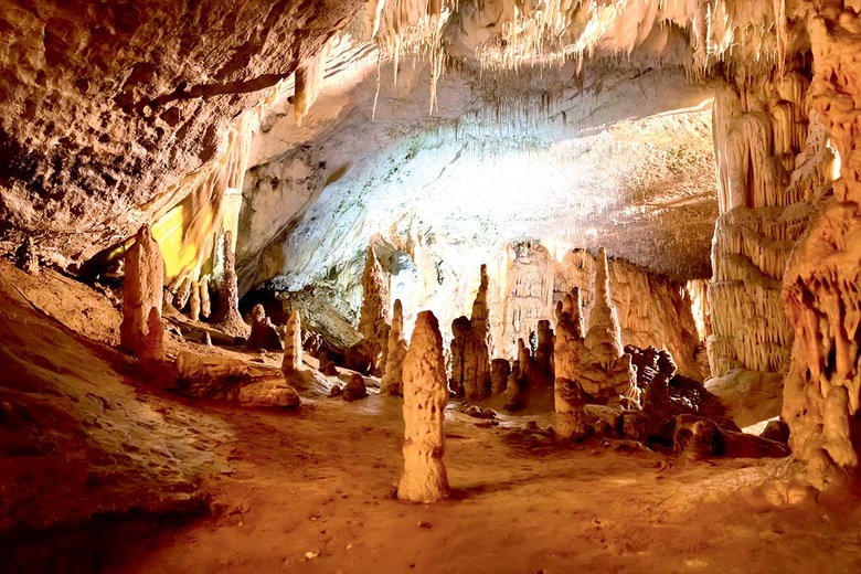 Grotte de Postojna