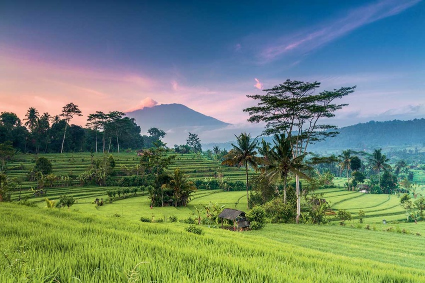 Circuit privé 100% Bali - TUI