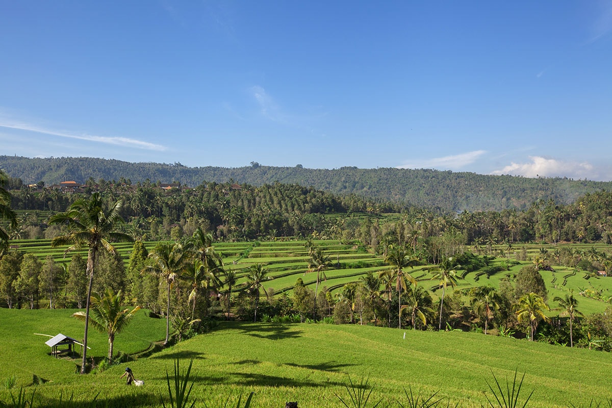 Bali - Indonésie - Circuit Privé 100% Bali avec extension balnéaire à Sanur