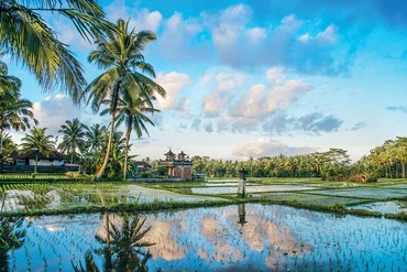Circuit privé Bali Paradis option 3 étoiles - TUI