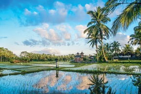 Ubud