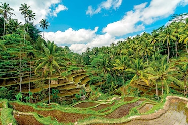 Circuit privé Bali Paradis option 4 étoiles - TUI