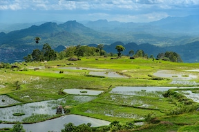 Toraja