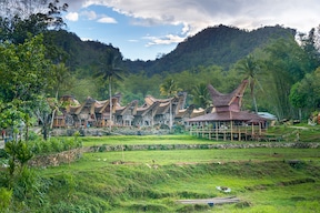 Pays Toraja