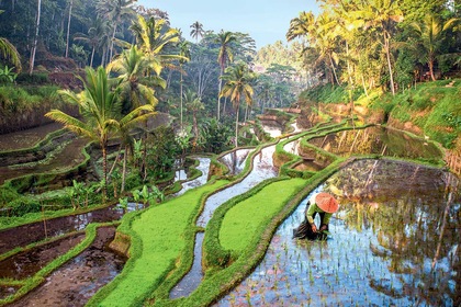 Circuit Essentiel - Bali, l'île enchantée + Extension à Benoa - TUI