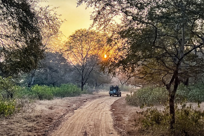 Ranthambore