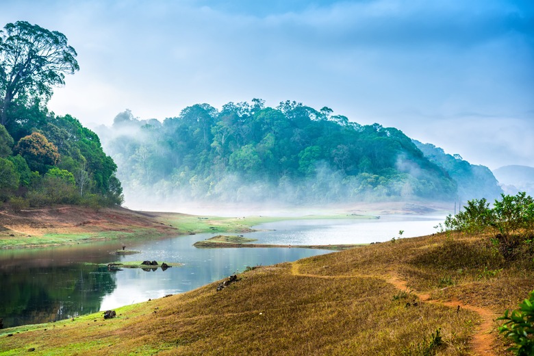 Lac de Periyar