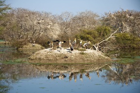 Bharatpur