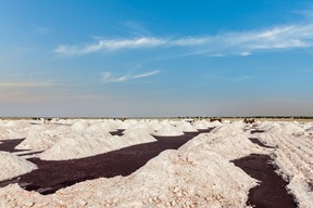 Sambhar Lake