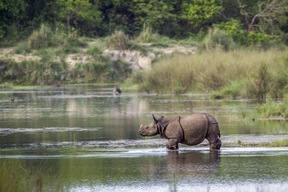 Parc national de Bardia