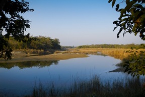 Parc national de Bardia