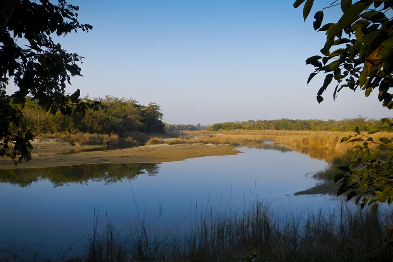 Parc national de Bardia