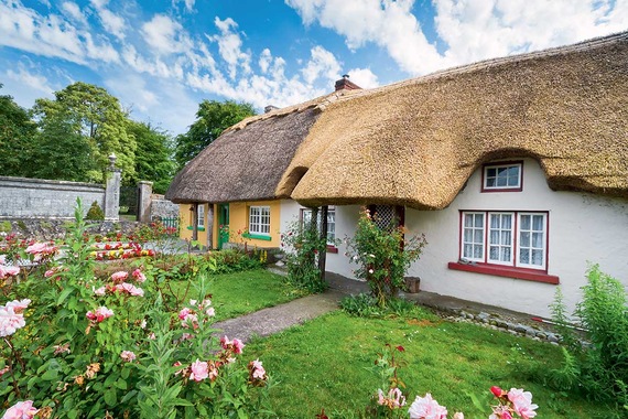 Road Trip L'Irlande éternelle- TUI