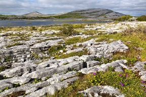 Paysage du Burren