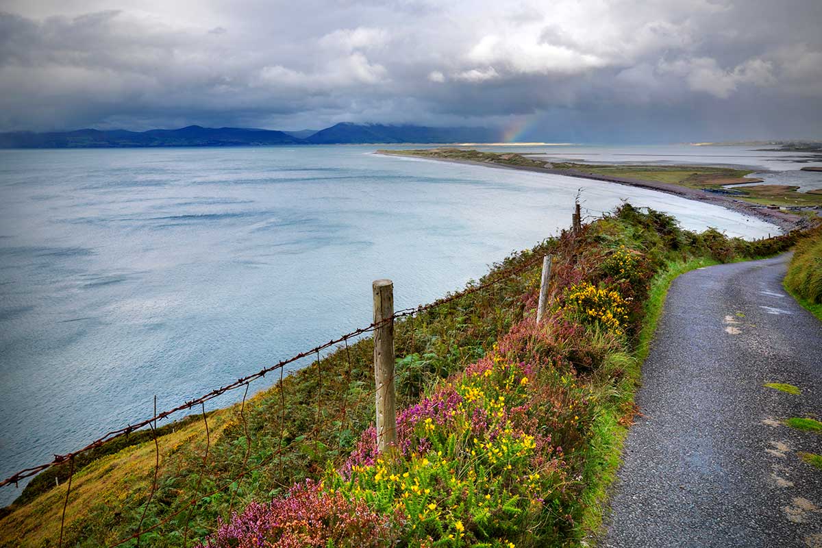 Irlande - Circuit Un Eire de gourmandise