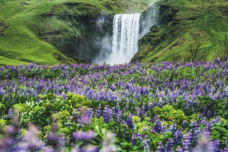 Road Trip Grand Tour de l'Islande - TUI