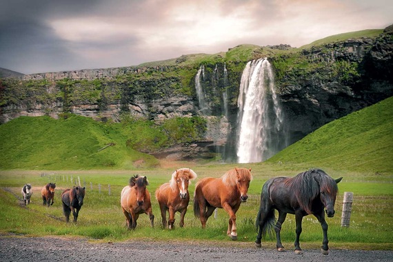 Circuit Magie d'Islande- TUI