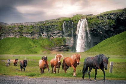 Circuit Essentiel Magie d'Islande - TUI