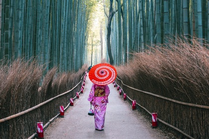 Evènement : Hanami, le réveil des cerisiers - TUI