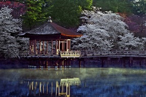 Nara