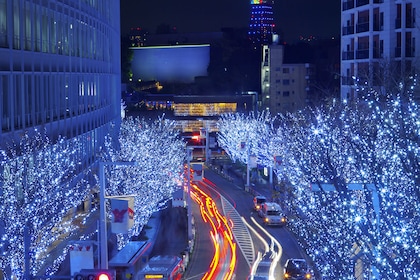 Evènement : Noël au pays du soleil levant - TUI