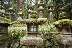 Kasuga Shrine