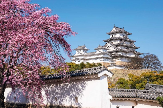 Circuit Grande découverte du Japon- TUI