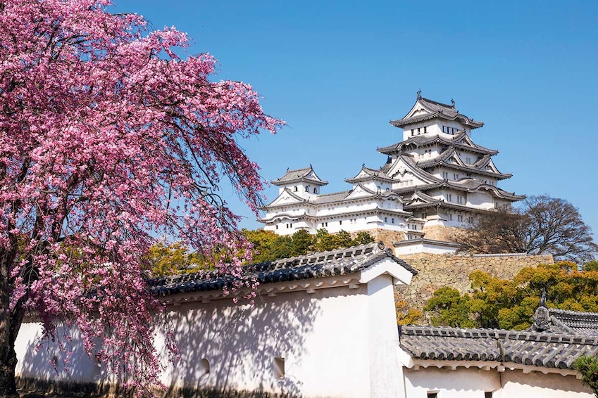 Circuit Grande découverte du Japon - TUI