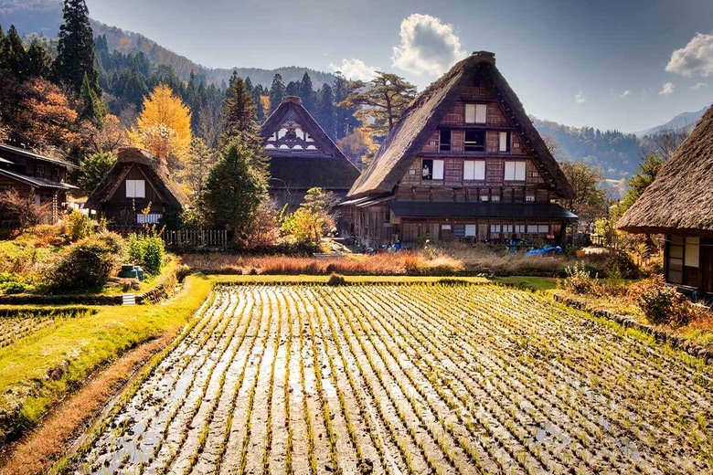 Les maisons aux toits de chaume de Shirakawago