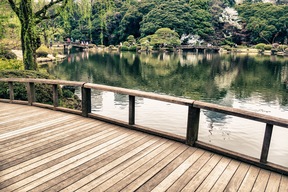 Jardin à Tokyo