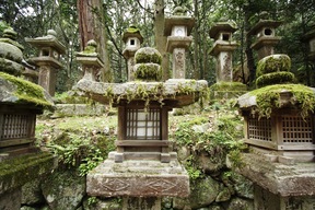 Sanctuaire Kasuga