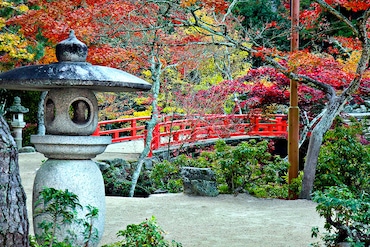 Circuit L'âme du Japon - TUI