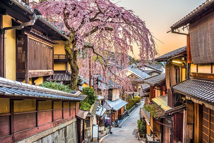 Circuit Japon du soleil-levant - TUI