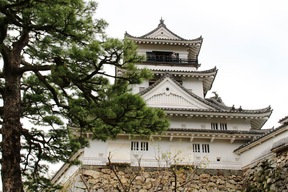 Kochi