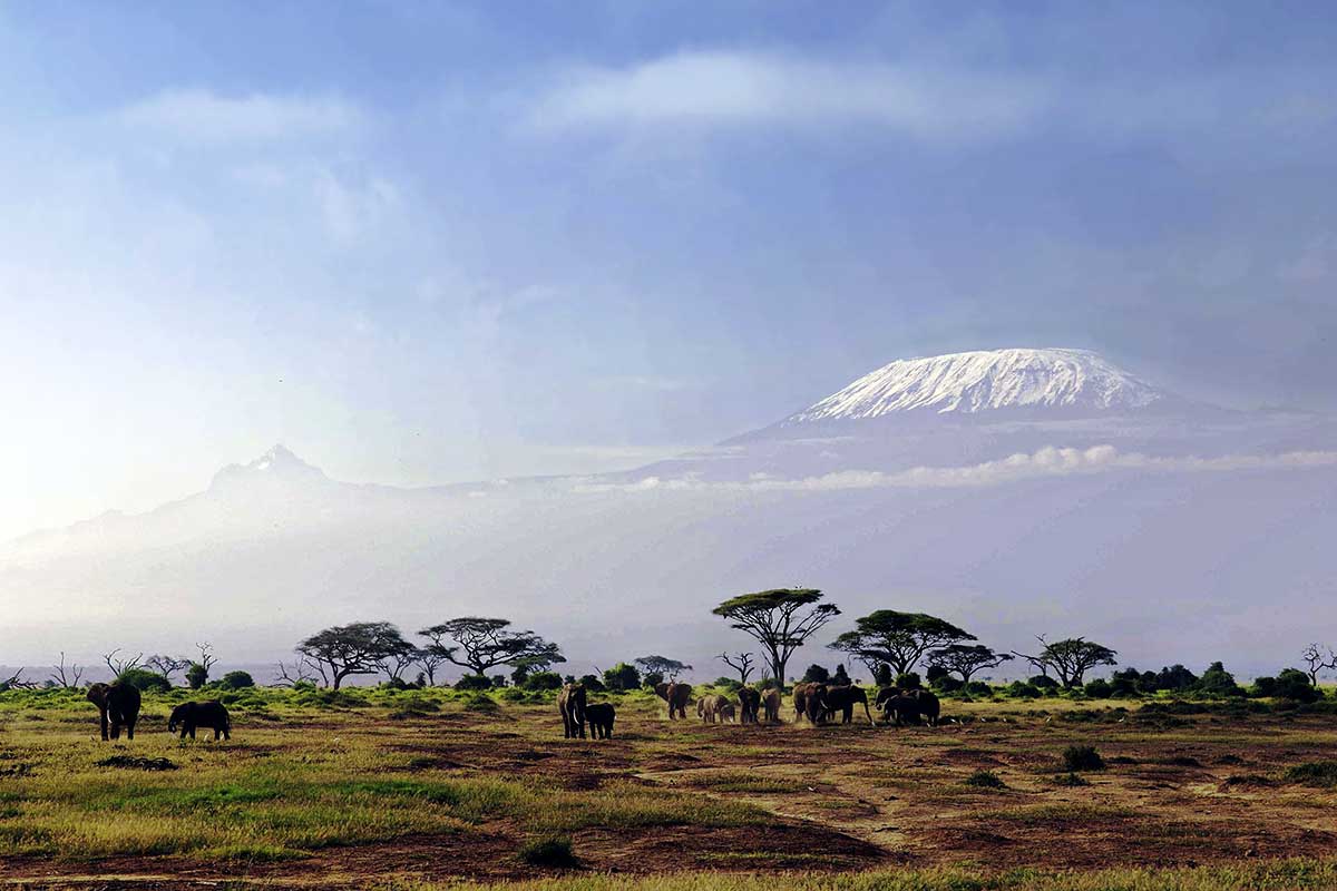 Гора Килиманджаро на рассвете, Амбосели, Кения