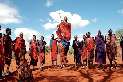 Circuit privé Au pays du Roi Lion - TUI