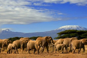 Parc d’Amboseli