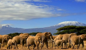 Parc d’Amboseli