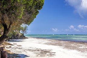 Diani Beach