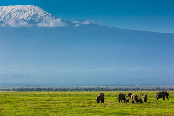 Circuit Découverte et détente au Kenya- TUI