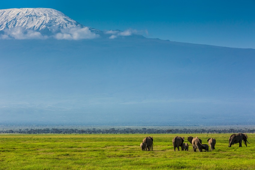 Circuit Découverte et détente au Kenya - TUI