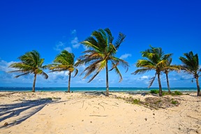 Diani Beach