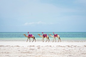 Diani Beach