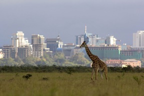 Nairobi