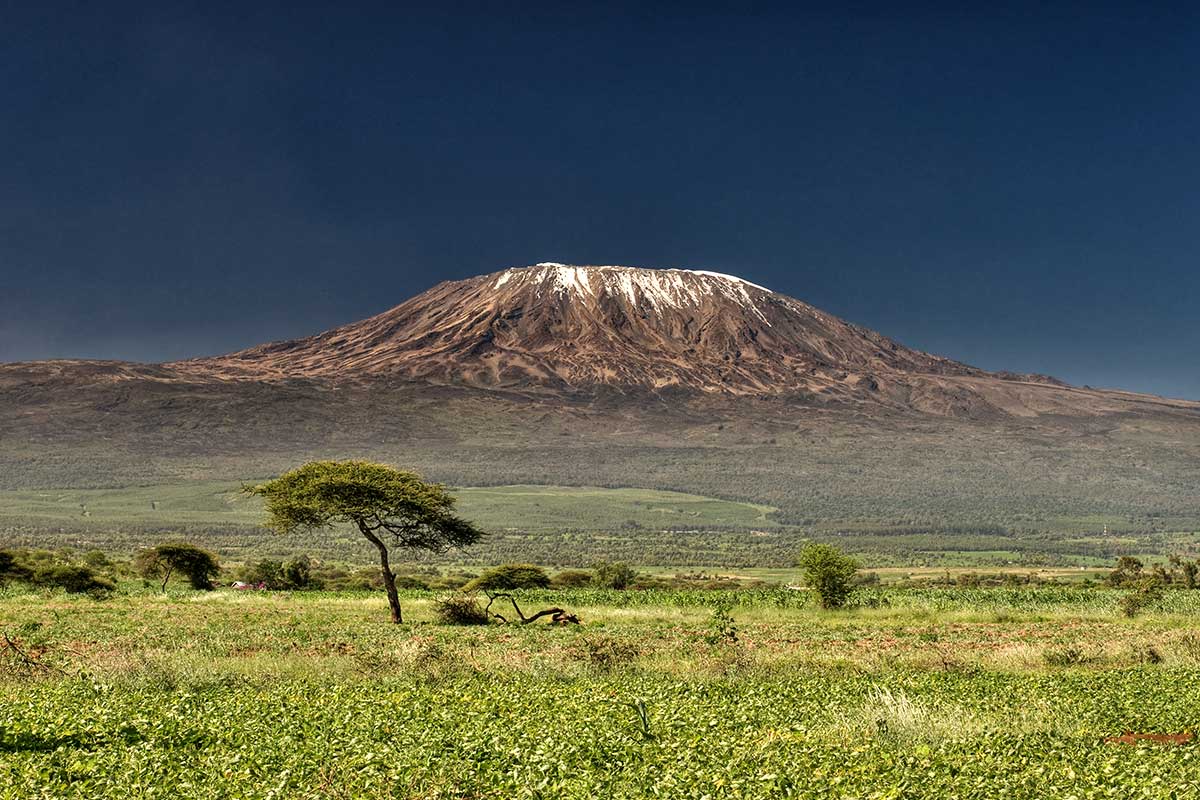 Kenya - Circuit Safari Kilimandjaro
