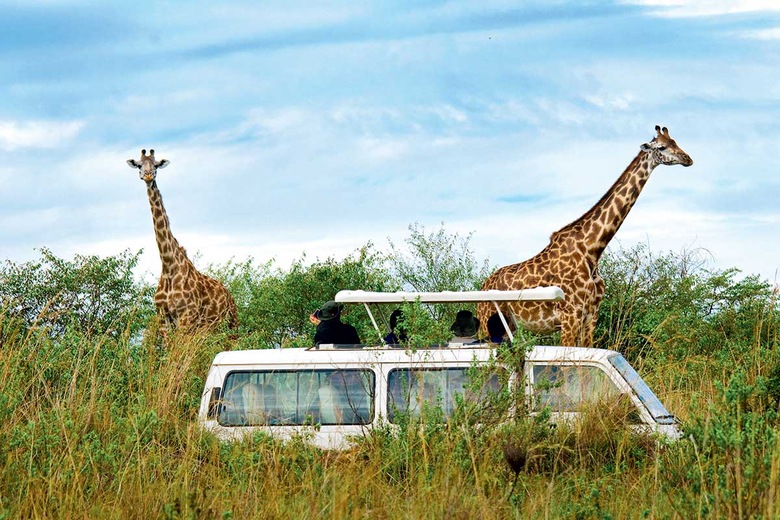 Parc Tsavo